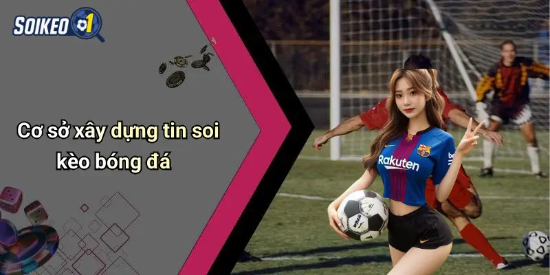 Cơ sở xây dựng tin soi kèo bóng đá