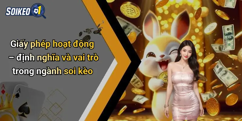 Giấy phép hoạt động – định nghĩa và vai trò trong ngành soi kèo