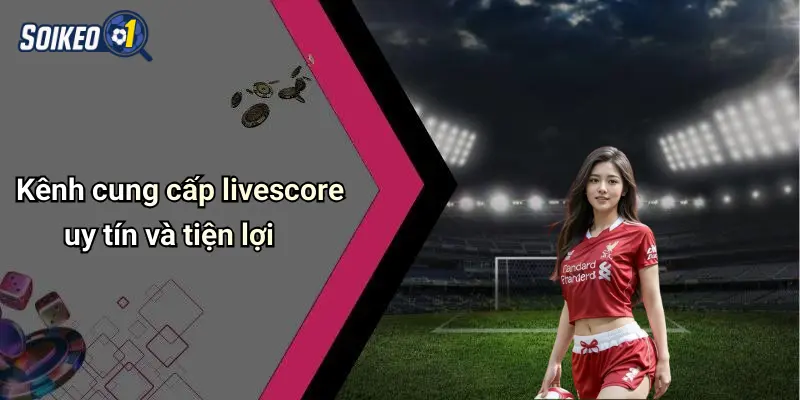 Kênh cung cấp livescore uy tín và tiện lợi