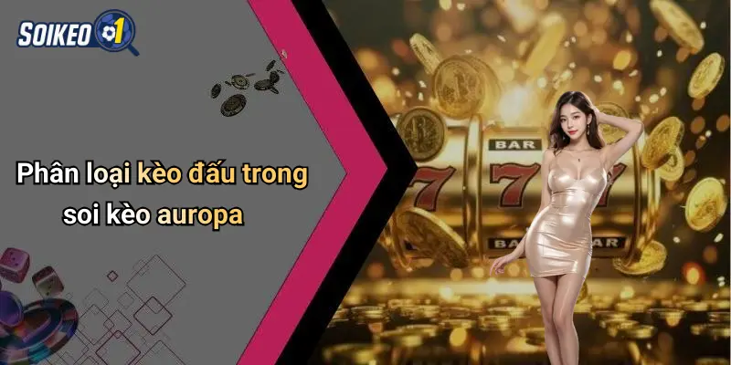 Phân loại kèo đấu trong soi kèo auropa