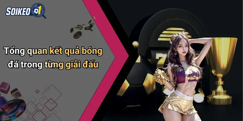 Tổng quan kết quả bóng đá trong từng giải đấu