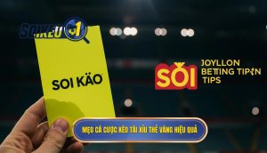 Mẹo cá cược kèo tài xỉu thẻ vàng hiệu quả