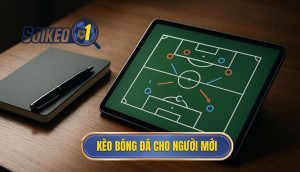 thumb - kèo bóng đá cho người mới