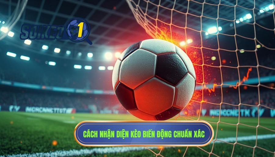 Cách nhận diện kèo biến động chuẩn xác