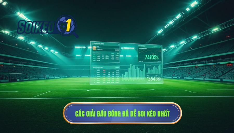 Top những giải đấu dễ soi kèo nhất hiện nay