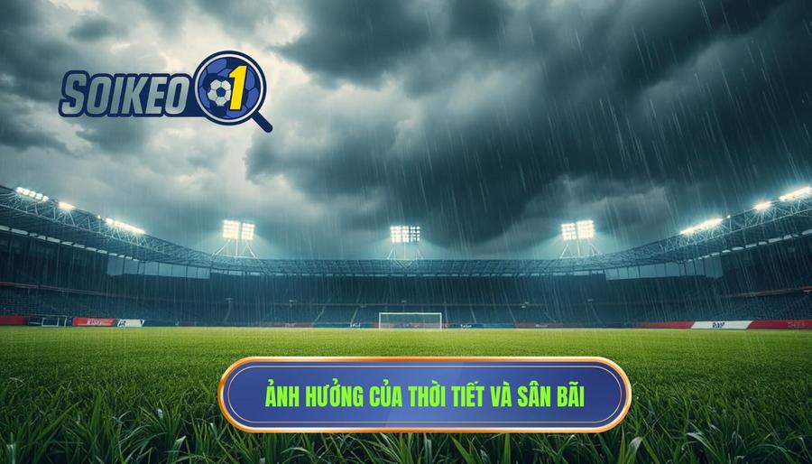 Ảnh hưởng của thời tiết và sân bãi