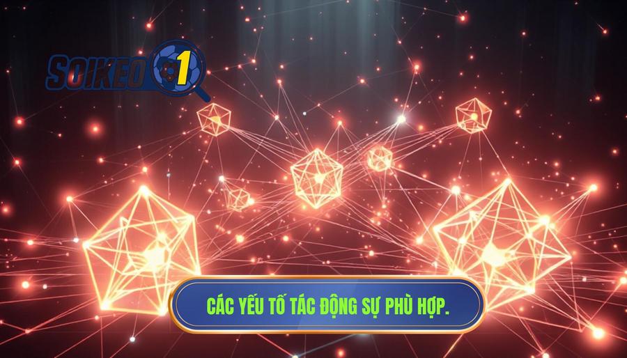Phân tích đa chiều: Những yếu tố tác động đến sự phù hợp